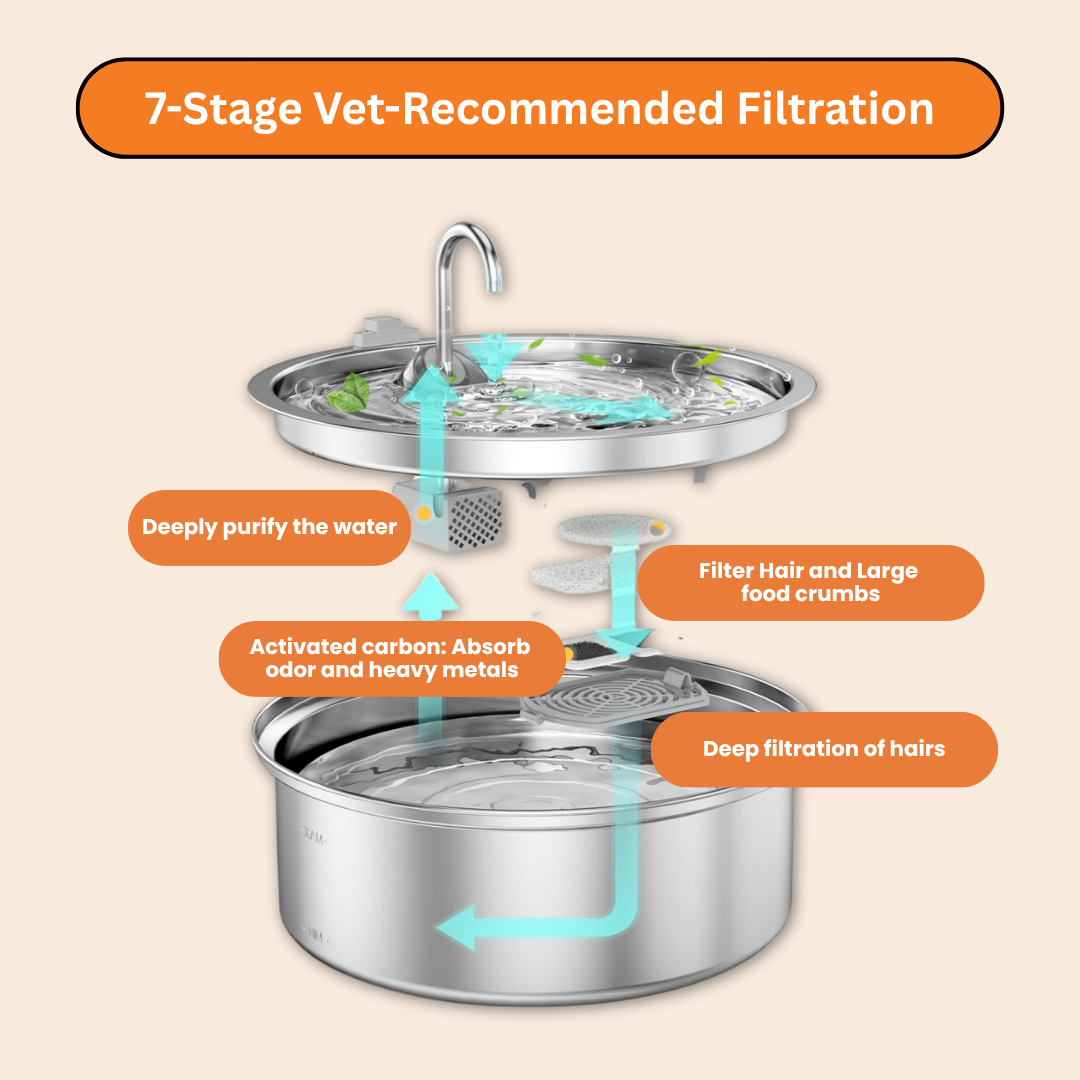 The Doggy Fountain