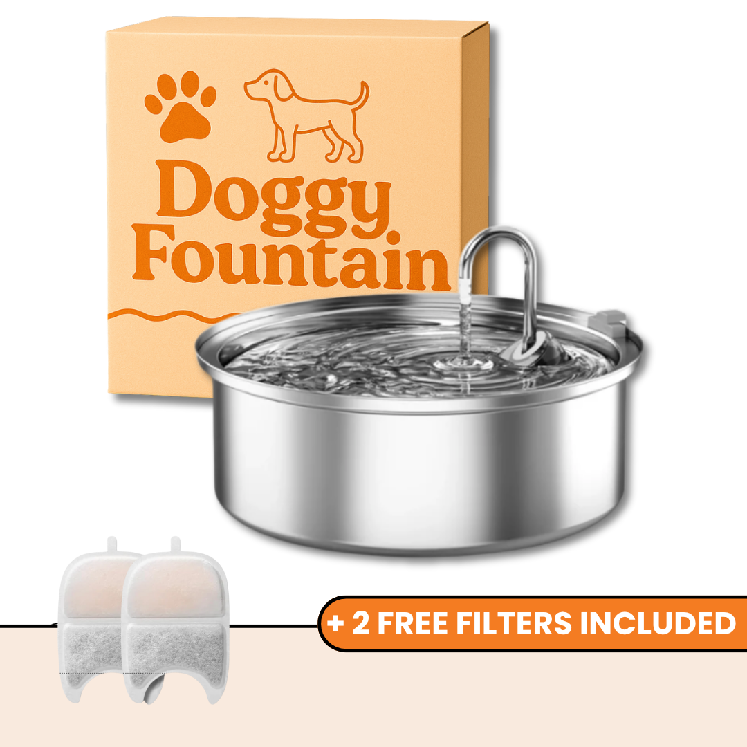 The Doggy Fountain