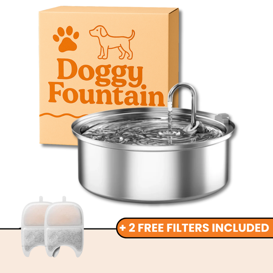 The Doggy Fountain
