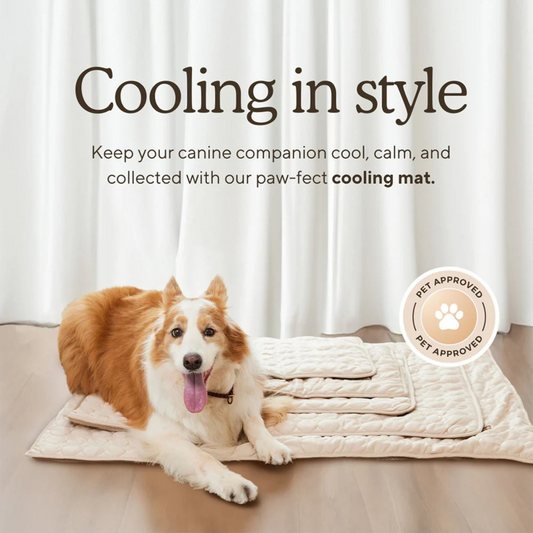 Dog Cooling Mat