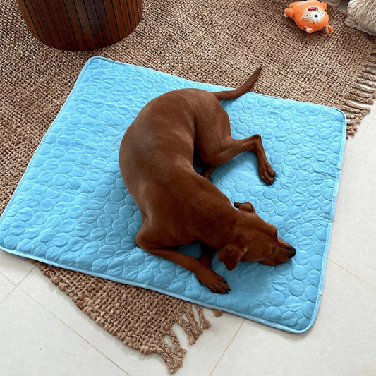 Dog Cooling Mat